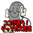 �^������̗p�I���f�K�X�[�U